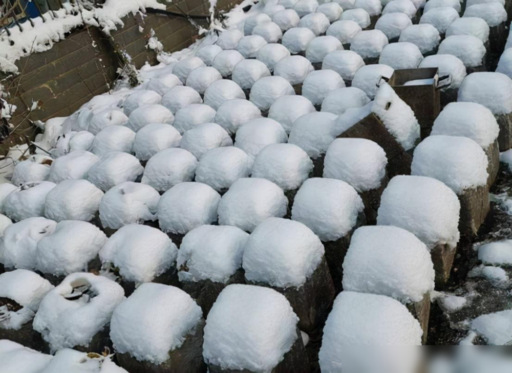 雪馒头形成原因（河南大雪过后，地面出现上千个“雪馒头”）